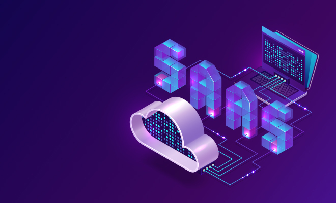 Software as a Service (SAAS)