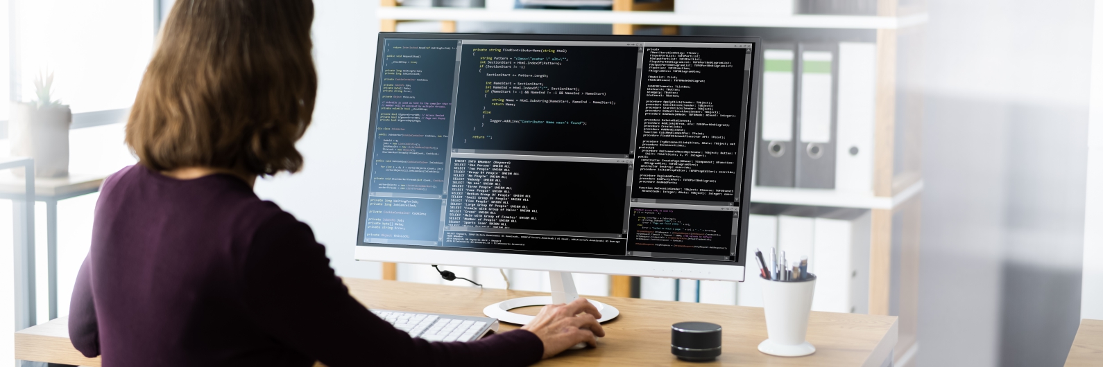 Software Testing Service