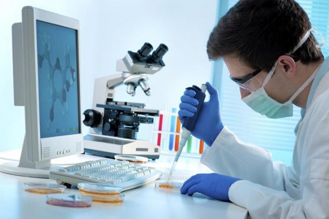 Pharmaceutical Research