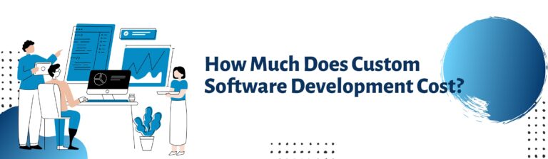 how much does custom software development cost